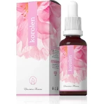 KOROLEN GTT 30ML 1×30 ml, préparation alternative