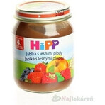 HiPP Supliment de fructe Mere cu fructe de pădure 1×125 g, supliment de fructe pentru copii