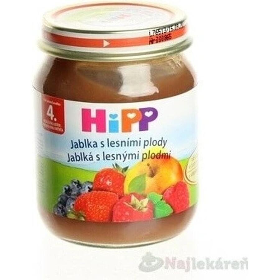 HiPP Supliment de fructe Mere cu fructe de pădure 1×125 g, supliment de fructe pentru copii