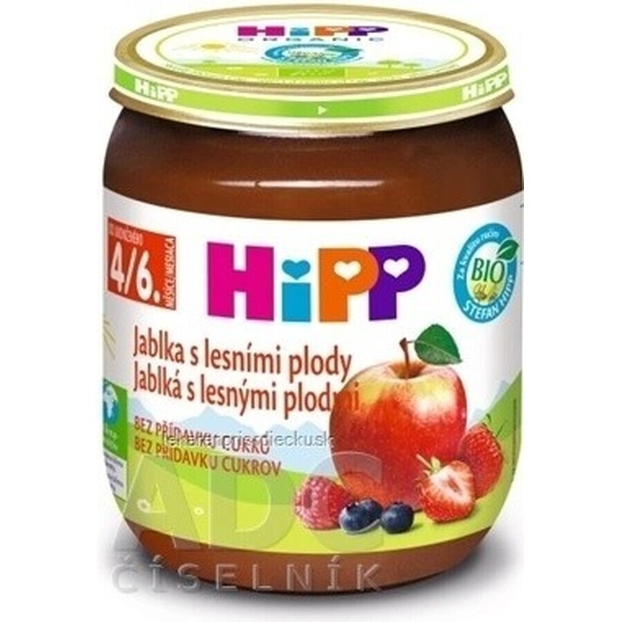 HiPP Supliment de fructe Mere cu fructe de pădure 1×125 g, supliment de fructe pentru copii