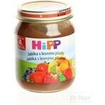 HiPP Supliment de fructe Mere cu fructe de pădure 1×125 g, supliment de fructe pentru copii