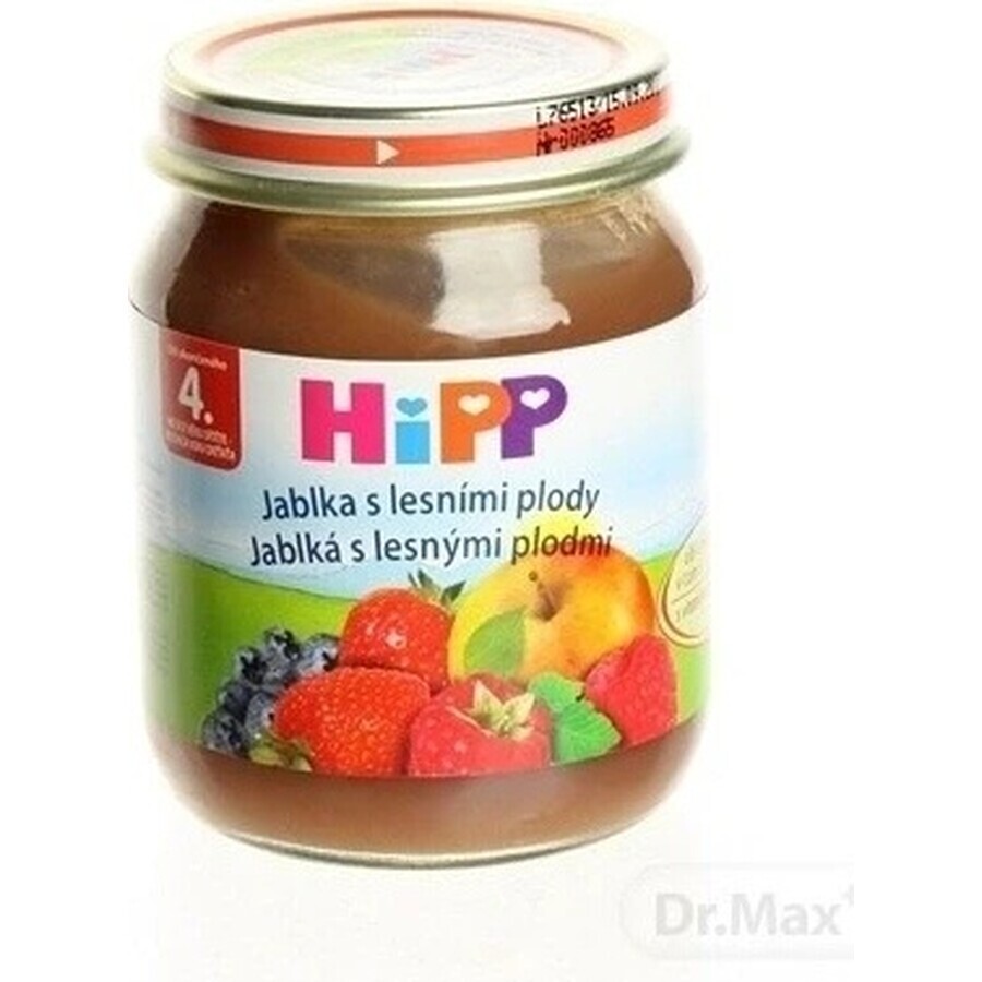 HiPP Supliment de fructe Mere cu fructe de pădure 1×125 g, supliment de fructe pentru copii