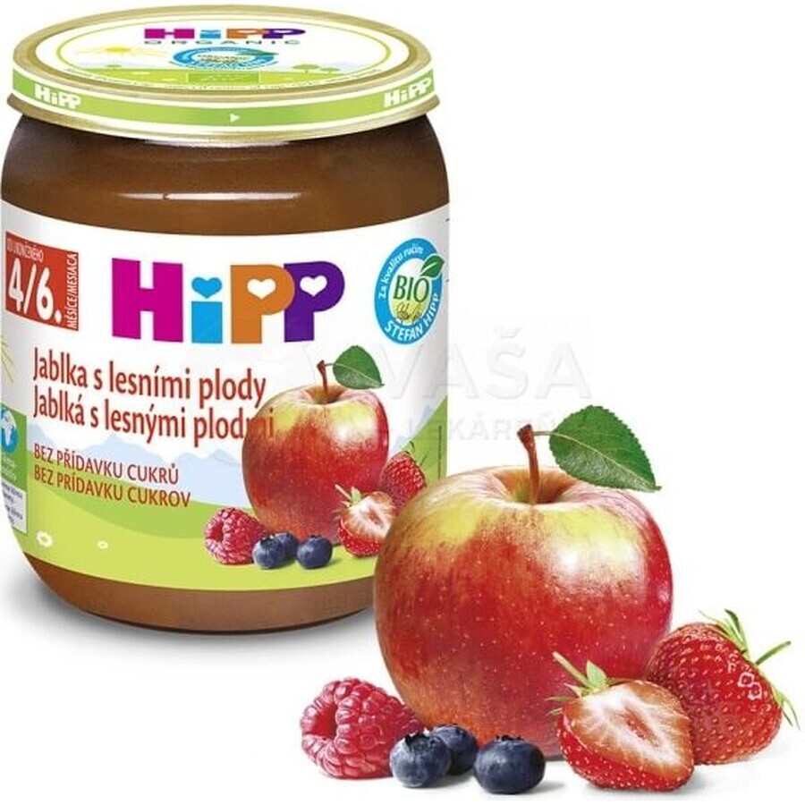 HiPP Supliment de fructe Mere cu fructe de pădure 1×125 g, supliment de fructe pentru copii