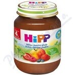 HiPP Supliment de fructe Mere cu fructe de pădure 1×125 g, supliment de fructe pentru copii