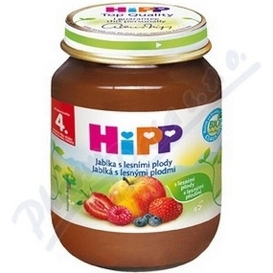 HiPP Supliment de fructe Mere cu fructe de pădure 1×125 g, supliment de fructe pentru copii