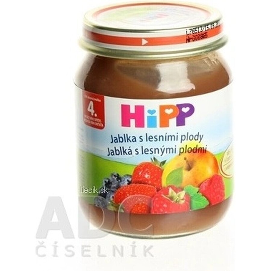 HiPP Supliment de fructe Mere cu fructe de pădure 1×125 g, supliment de fructe pentru copii