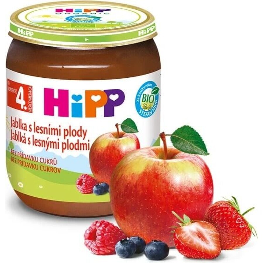 HiPP Supliment de fructe Mere cu fructe de pădure 1×125 g, supliment de fructe pentru copii