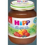 HiPP Supliment de fructe Mere cu fructe de pădure 1×125 g, supliment de fructe pentru copii