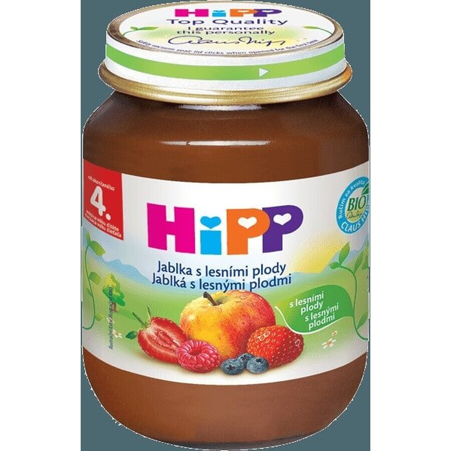 HiPP Supliment de fructe Mere cu fructe de pădure 1×125 g, supliment de fructe pentru copii