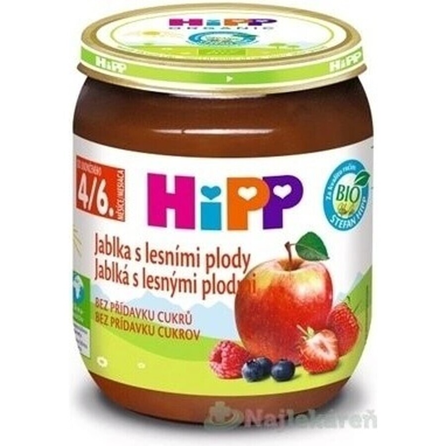 HiPP Supliment de fructe Mere cu fructe de pădure 1×125 g, supliment de fructe pentru copii