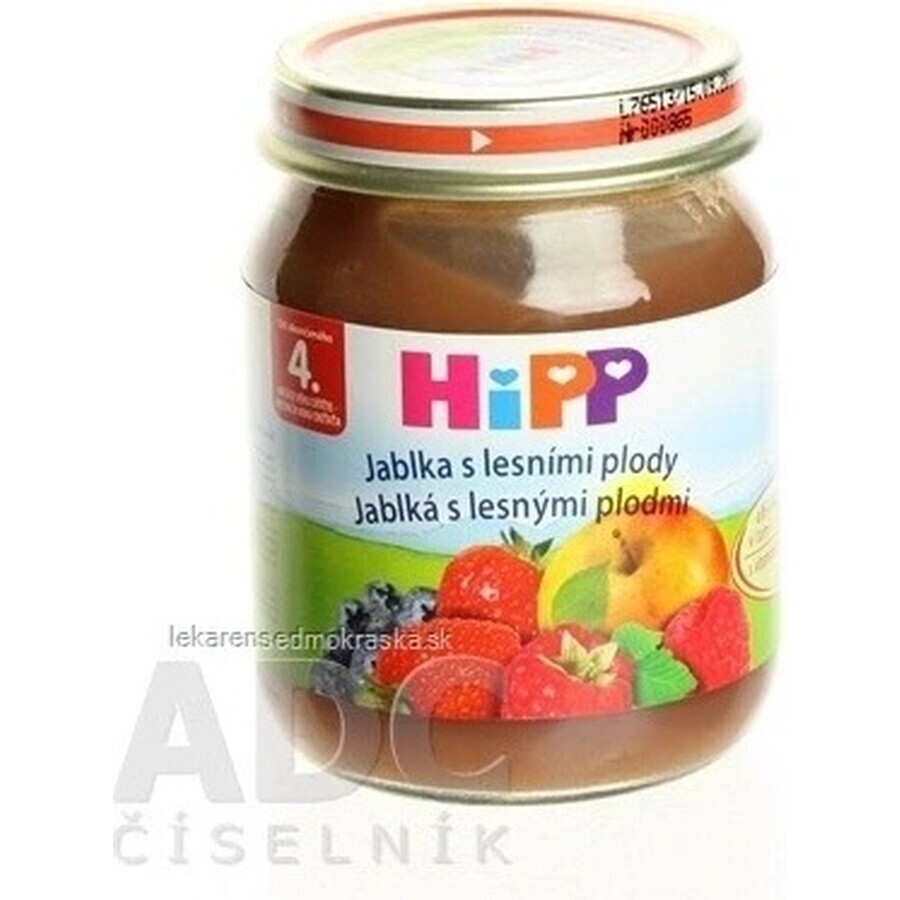 HiPP Supliment de fructe Mere cu fructe de pădure 1×125 g, supliment de fructe pentru copii