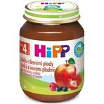 HiPP Supliment de fructe Mere cu fructe de pădure 1×125 g, supliment de fructe pentru copii