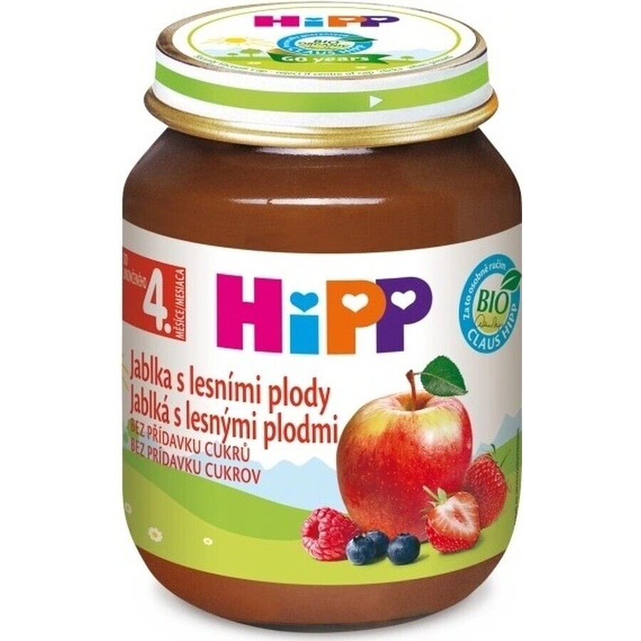 HiPP Supliment de fructe Mere cu fructe de pădure 1×125 g, supliment de fructe pentru copii