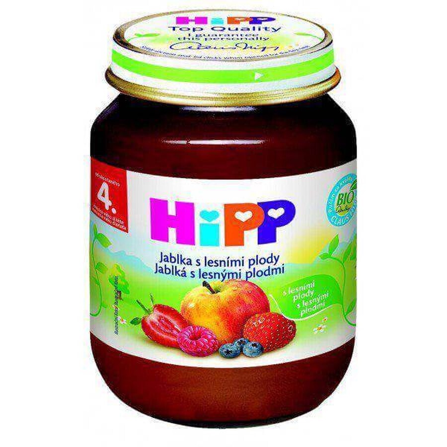 HiPP Supliment de fructe Mere cu fructe de pădure 1×125 g, supliment de fructe pentru copii