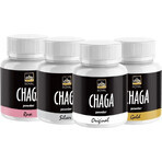 Royal Chaga Siberisch Chaga Poeder Extract 1×90g, voedingssupplement