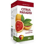 VIRDE CITRUS CITRUS PARADISI 1×50 ml, gouttes d'extrait de pamplemousse