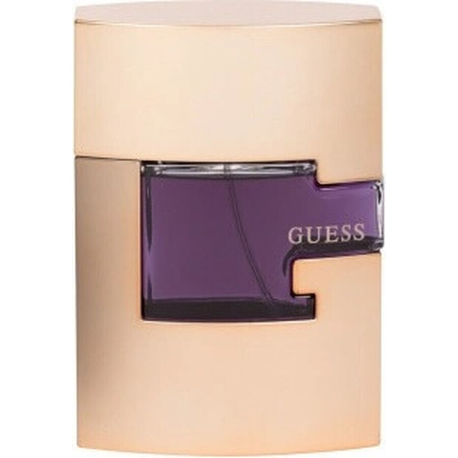 Guessguess Men Edt 75ml 1×75 ml, Eau de Toilette