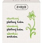 Ziaja - gezichtsverzorging met komkommerpulpextract voor vette gecombineerde huid 1×50 ml, gezichtscrème