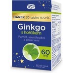 GS Ginkgo 60 mg met magnesium 1×120 tbl, voedingssupplement