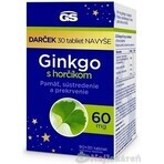 GS Ginkgo 60 mg met magnesium 1×120 tbl, voedingssupplement