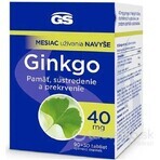 GS Ginkgo 60 mg met magnesium 1×120 tbl, voedingssupplement