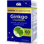 GS Ginkgo 60 mg met magnesium 1×120 tbl, voedingssupplement