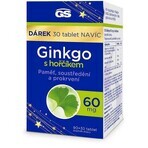 GS Ginkgo 60 mg met magnesium 1×120 tbl, voedingssupplement