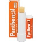 PANTHENOL PERY POMADE 4.4G DR.MULLER 1×1 St., für trockene Lippen