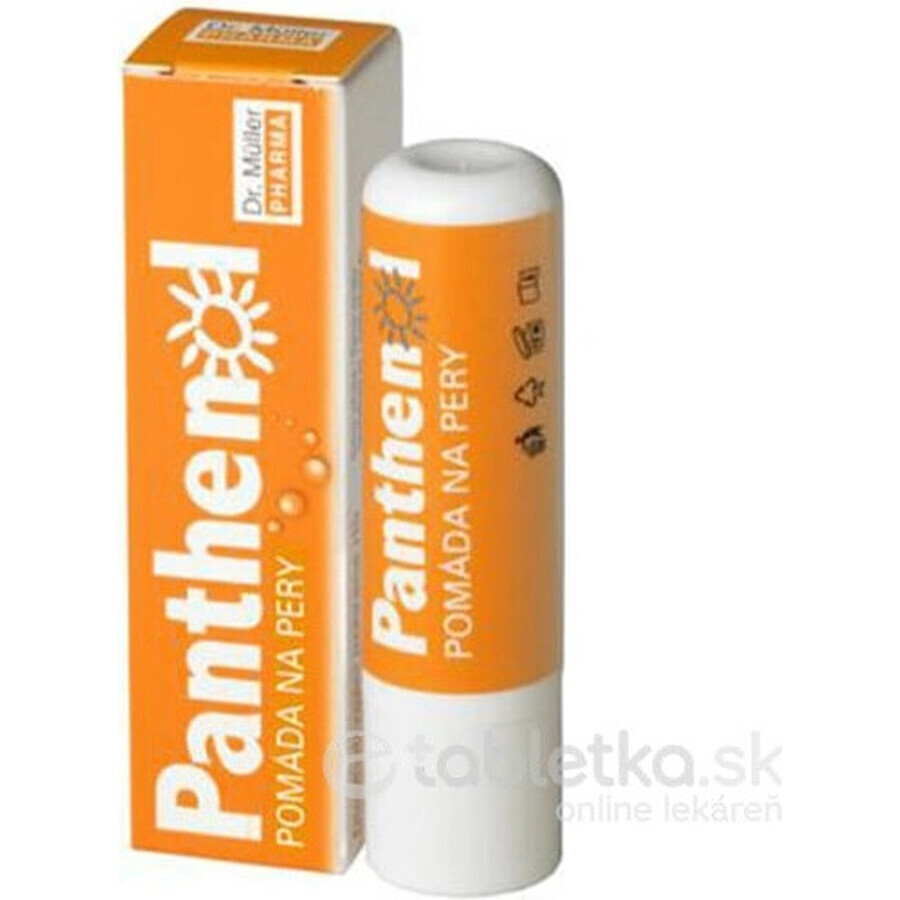 PANTHENOL PERY POMADE 4.4G DR.MULLER 1×1 St., für trockene Lippen