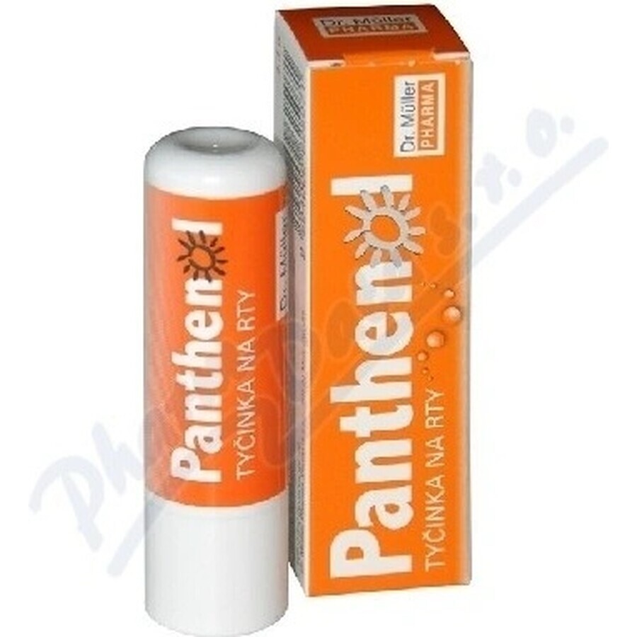 PANTHENOL PERY POMADE 4.4G DR.MULLER 1×1 St., für trockene Lippen