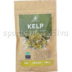 Allnature Kelp organisch poeder 100g 1×100g