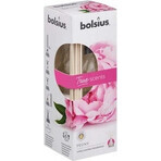 Bolsius Aromatic 2.0 Aromatischer Diffusor 45 ml Pfingstrose 1×45 ml, Aroma-Diffusor