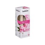 Bolsius Aromatic 2.0 Aromatischer Diffusor 45 ml Pfingstrose 1×45 ml, Aroma-Diffusor