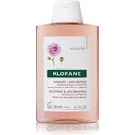 KLORANE SHAMPOOING à la pivoine biologique 1×200ml, shampooing pour cuir chevelu sensible et irrité