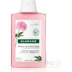 KLORANE SHAMPOOING à la pivoine biologique 1×200ml, shampooing pour cuir chevelu sensible et irrité