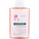 KLORANE SHAMPOOING à la pivoine biologique 1×200ml, shampooing pour cuir chevelu sensible et irrité