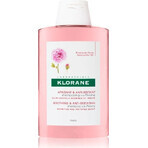 KLORANE SHAMPOOING à la pivoine biologique 1×200ml, shampooing pour cuir chevelu sensible et irrité