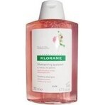 KLORANE SHAMPOOING à la pivoine biologique 1×200ml, shampooing pour cuir chevelu sensible et irrité