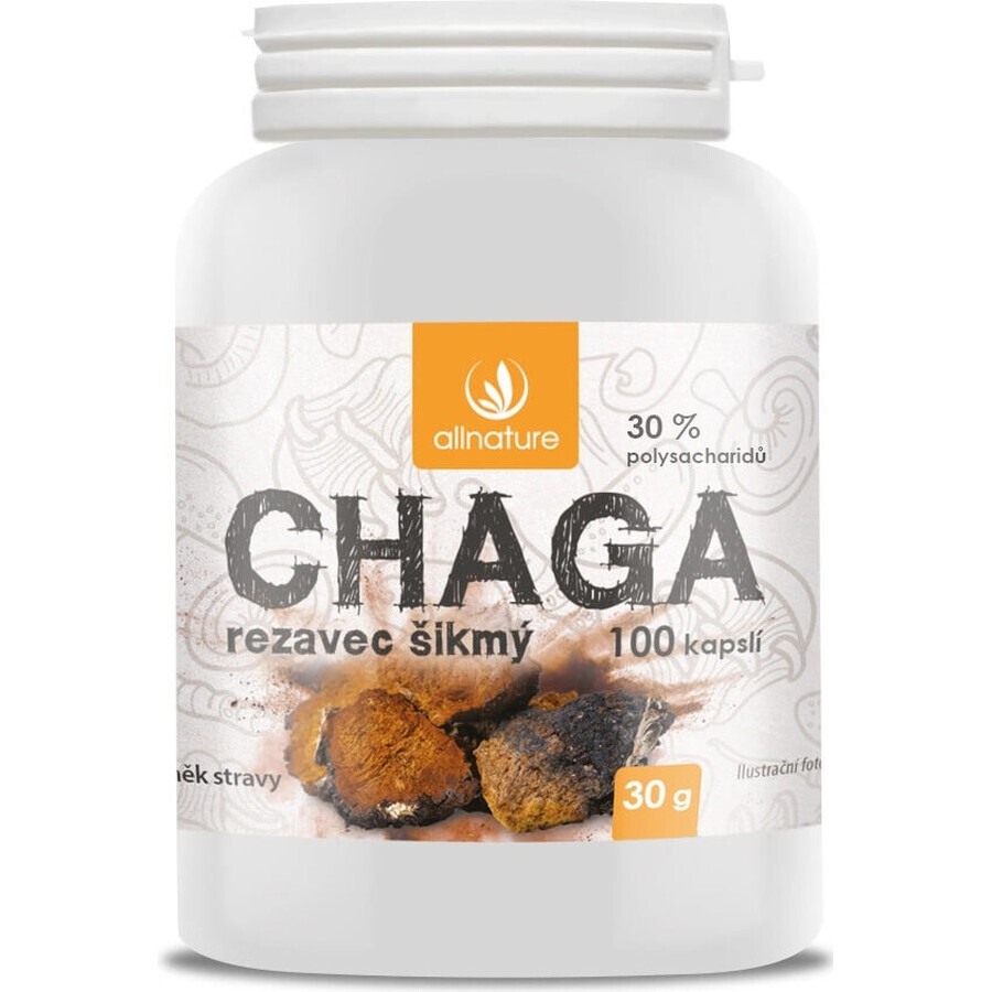 Allnature Chaga 1×100 cps, voedingssupplement