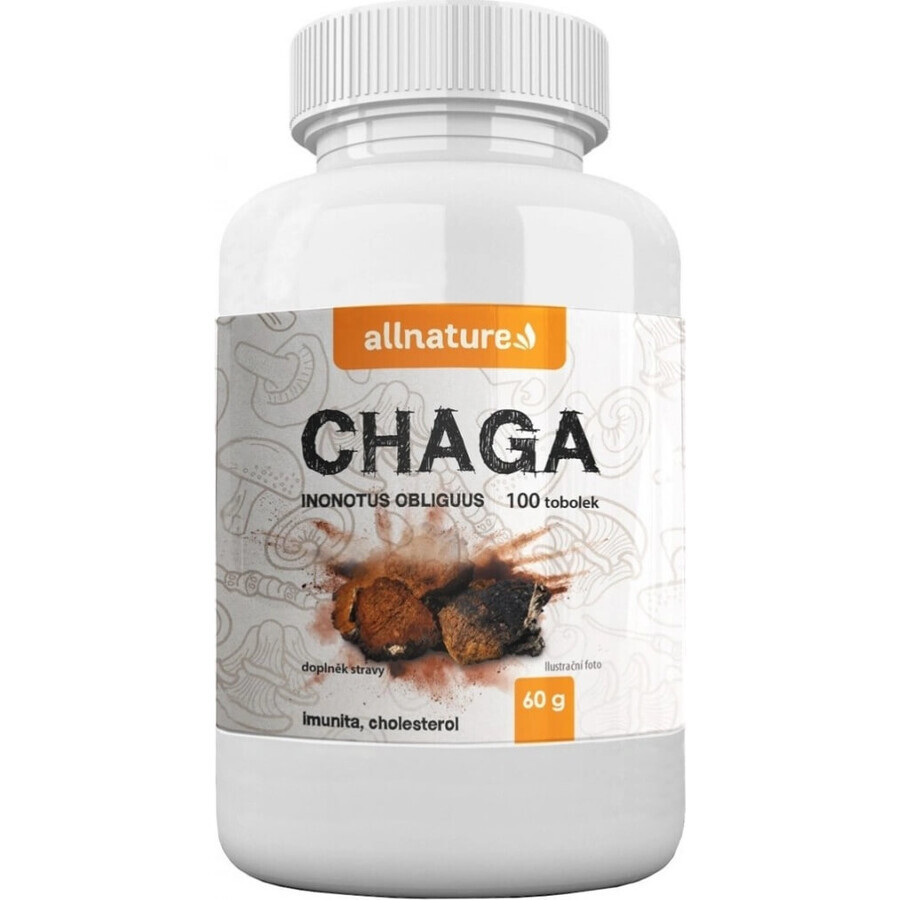 Allnature Chaga 1×100 cps, voedingssupplement