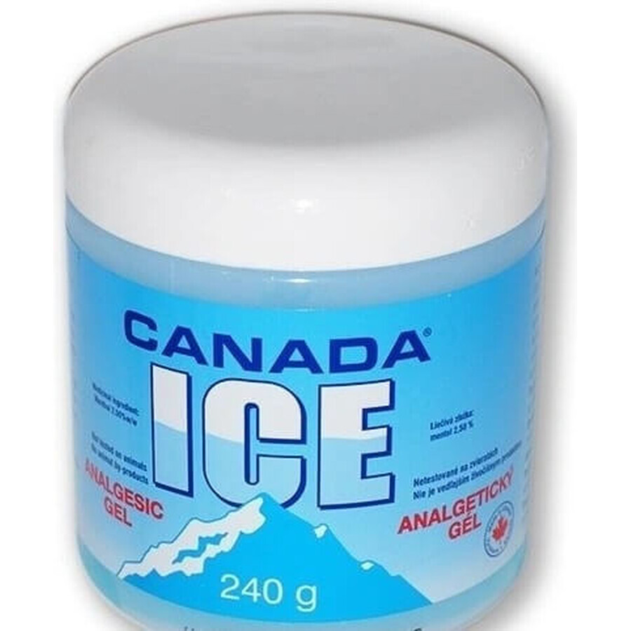 CANADA ICE GEL 1×240 ml, pijnstillend