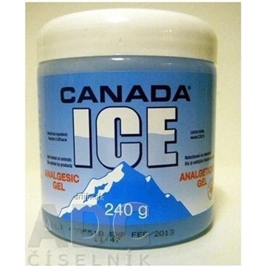 CANADA ICE GEL 1×240 ml, pijnstillend