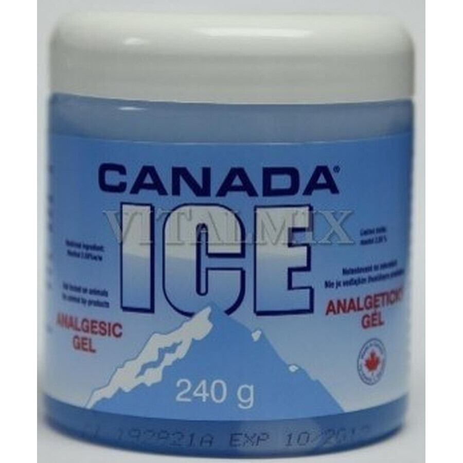 CANADA ICE GEL 1×240 ml, pijnstillend