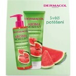 DB AM Melon 2023 1×1 set, geschenkverpakking