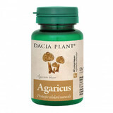 Agaricus Natuurlijke Celbescherming, 60 cpr, Dacia Plant