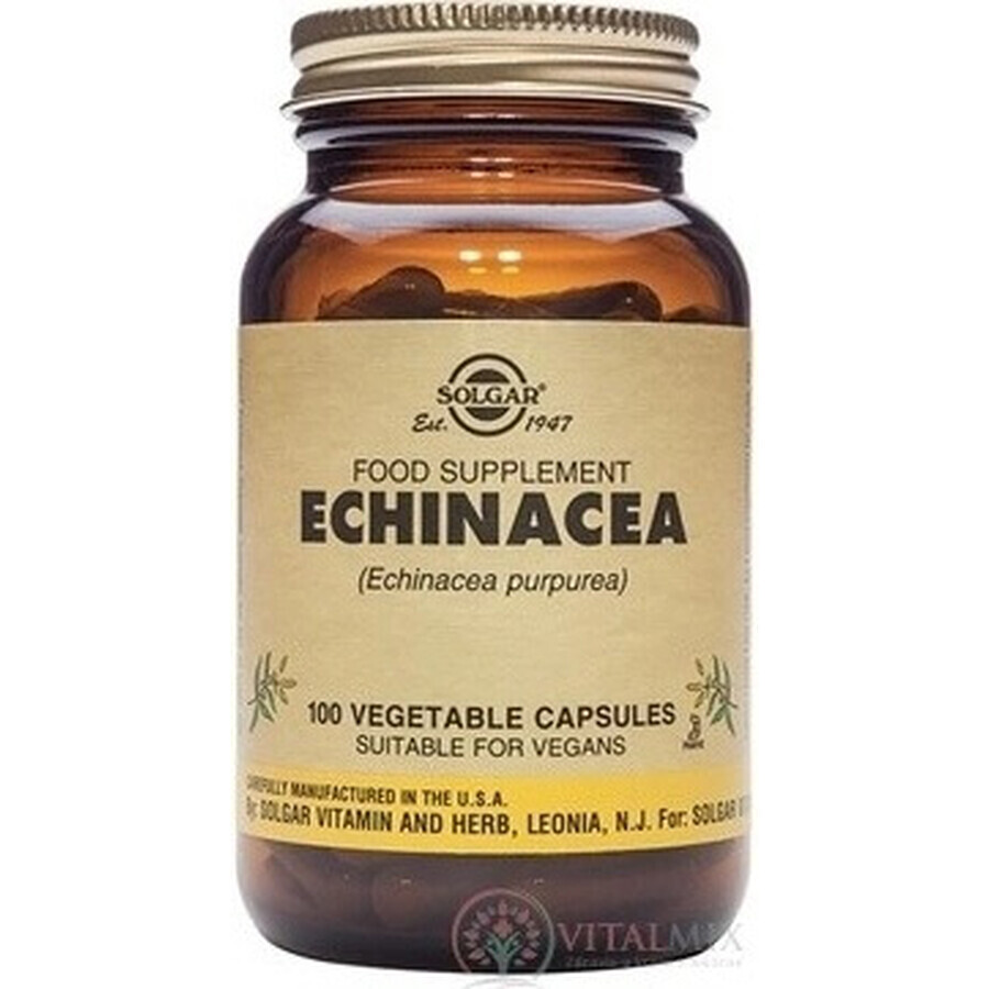 Solgar Echinacea Purpurea 100 cápsulas 1×100 tbl