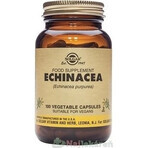 Solgar Echinacea Purpurea 100 cápsulas 1×100 tbl