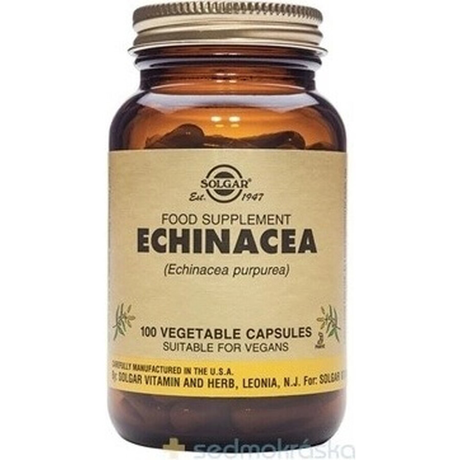 Solgar Echinacea Purpurea 100 cápsulas 1×100 tbl