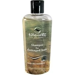 KAWAR ANTI-DANDRUFF SHAMPOO 1×400 ml, beseitigt Schuppen