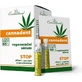 Cannaderm CANNADENT regenerating serum 10×1,5 ml for canker sores and cold sores